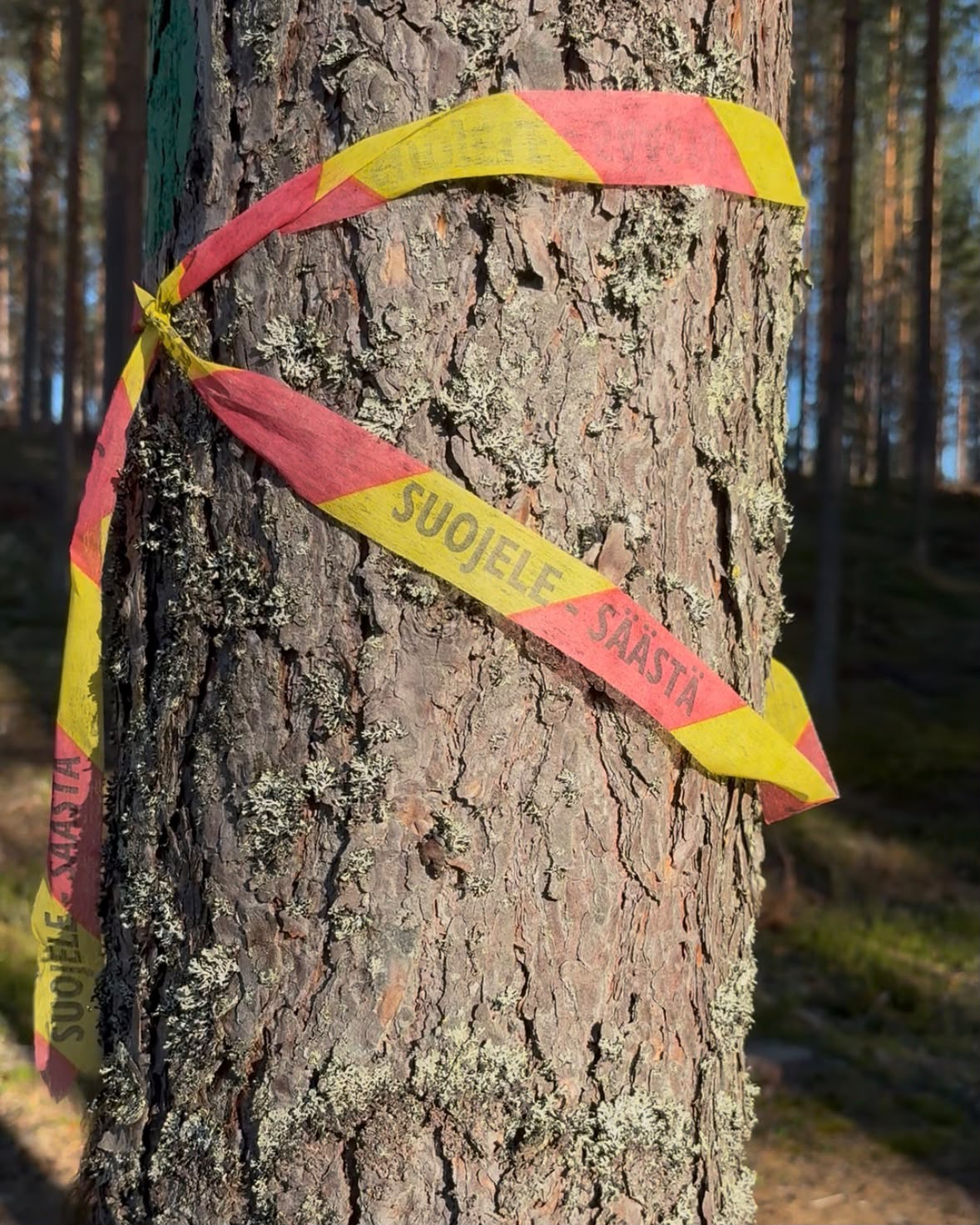 Miten korjaamme jälkemme?
